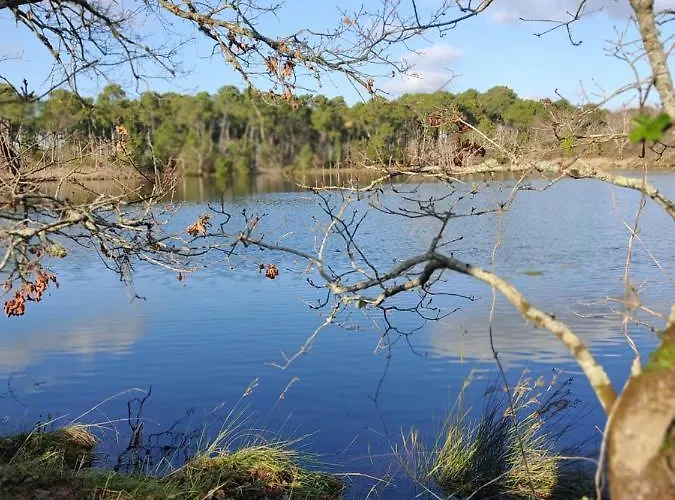 Jardin/terrasse Cosy Pres Plages